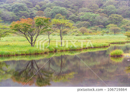 (群馬縣)初秋紅葉已開始的赤城山/角滿淵 (群馬縣)初秋紅葉已開始的赤城山/角滿淵 106719864