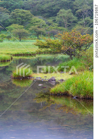 (Gunma Prefecture) Mt. Akagi/Kakumanbuchi where the early autumn leaves have begun (Gunma Prefecture) Mt. Akagi/Kakumanbuchi where the early autumn leaves have begun 106719867