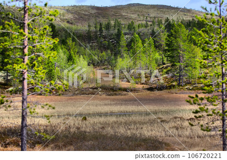 polar hills Scandinavian tundra in summer 106720221