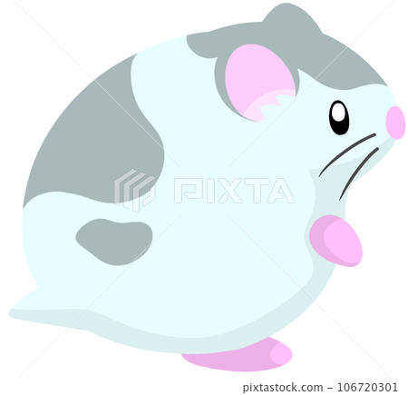 roborovsky pied blue roborovsky pied blue 106720301