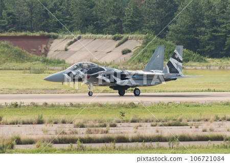 航空自衛隊飛行指導大隊F-15DJ鷹滑行 106721084