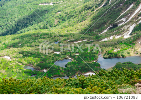 7 swamp curls 7 swamp curls 106721088