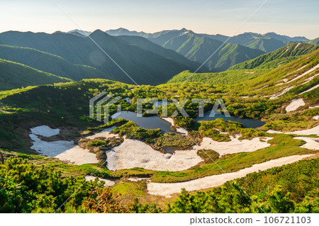 七個沼澤捲曲的早晨 七個沼澤捲曲的早晨 106721103