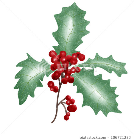 Christmas berry and leaf 106721283
