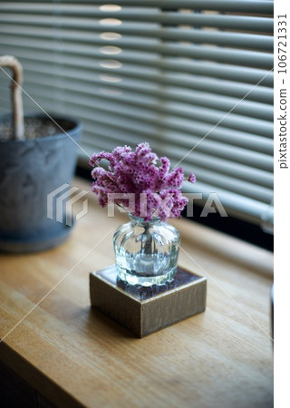 Pink dried flowers in a glass vase Pink dried flowers in a glass vase 106721331