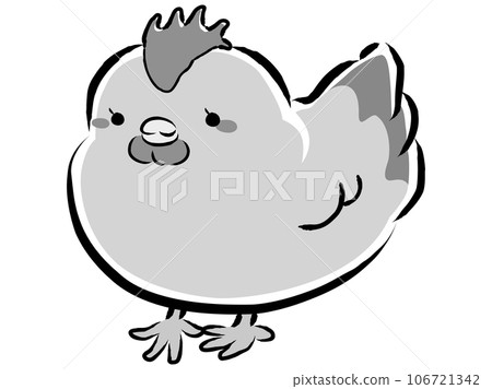 Illustration of Nagoya Cochin (chicken) (female) black and white Illustration of Nagoya Cochin (chicken) (female) black and white 106721342