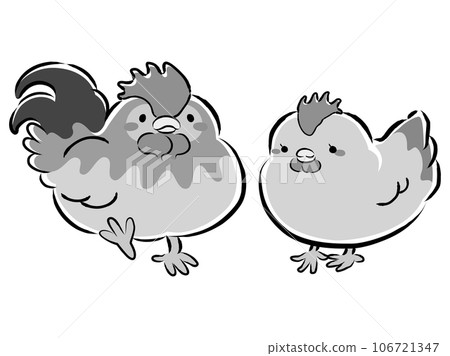 Illustration of a pair of Nagoya Cochin (chickens) (male and female) black and white Illustration of a pair of Nagoya Cochin (chickens) (male and female) black and white 106721347