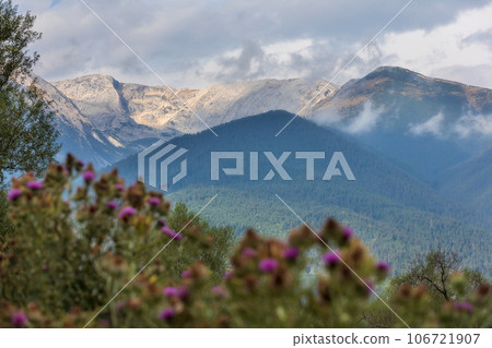 Summer landscape of Pirin mountains, Bulgaria Summer landscape of Pirin mountains, Bulgaria 106721907