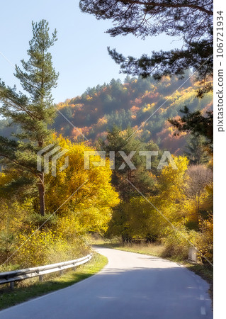 Golden magic autumn colorful trees and road 106721934