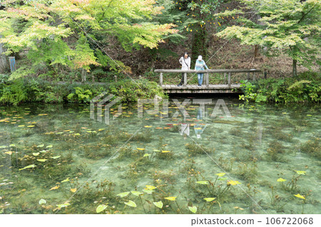 Pond of monet 106722068