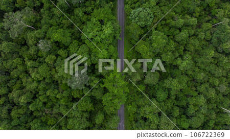 Aerial top view asphalt road forest in asian tropical rainforest green forest tree, Tropical jungle forest in Southeast Asia, Texture and background of green tree forest view from above. 106722369