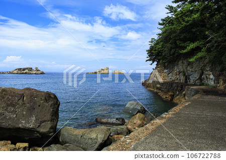 Sea seen from Kumomi coast (summer) 106722788