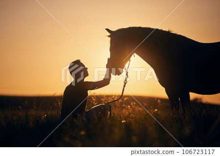 Man stroking of therapy horse on meadow at sunset. Man stroking of therapy horse on meadow at sunset. 106723117