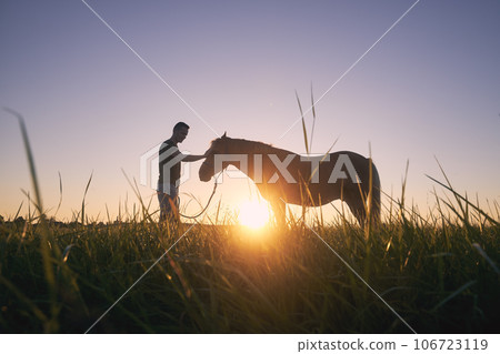 Man stroking of therapy horse on meadow at sunset. Man stroking of therapy horse on meadow at sunset. 106723119