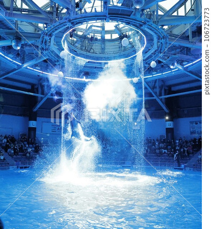 引起轟動 引起轟動 106723773