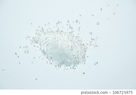 red ants feeding and carry sugar to nest on white background red ants feeding and carry sugar to nest on white background 106723975