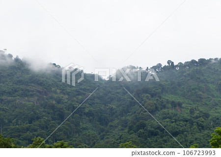 Misty foggy mountain landscape with forest green. Important tourist attractions in Thailand. Atmosphere in morning was little sunshine, cloudy like it was raining humid weather. 106723993