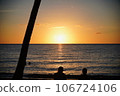 Palm trees and sunset 106724106
