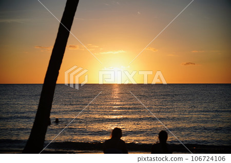 Palm trees and sunset Palm trees and sunset 106724106