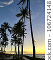 Sunset and palm trees 106724148