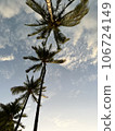 Blue sky and palm tree 106724149