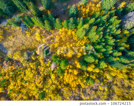 Fall time. A drone view of the woods. An aerial view of an autumn forest. Fall time. A drone view of the woods. An aerial view of an autumn forest. 106724215