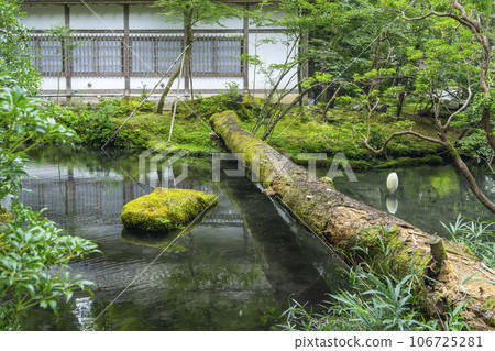法然院北條池（京都鐵學道附近） 106725281