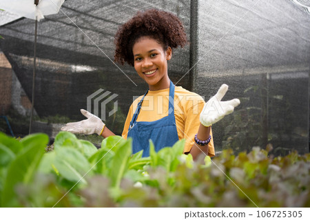 Portrait of happy half Thai half African woman farmer standing behind vegetable plot in her backyard. Concept of agriculture organic for health, Vegan food and Small business. Portrait of happy half Thai half African woman farmer standing behind vegetable plot in her backyard. Concept of agriculture organic for health, Vegan food and Small business. 106725305
