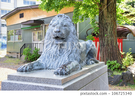 Lion statue at Sanki Shrine (Mukoujima, Sumida-ku, Tokyo) Lion statue at Sanki Shrine (Mukoujima, Sumida-ku, Tokyo) 106725340
