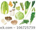 Vegetable illustration set 3 106725739
