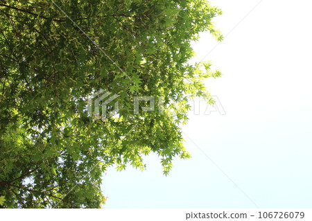 龍野、龍城、城堡、古蹟 106726079