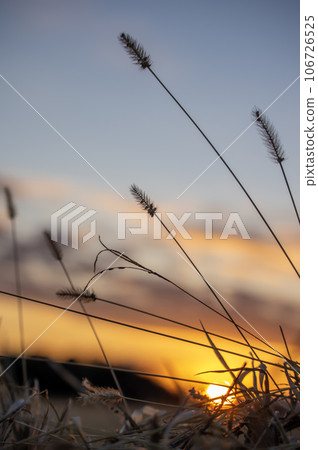 黃昏的天空和夕陽 黃昏的天空和夕陽 106726525