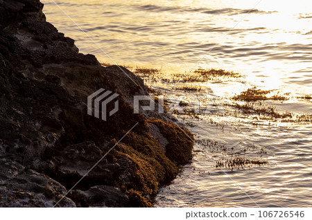 The sea of Jogashima sparkles in the evening light The sea of Jogashima sparkles in the evening light 106726546