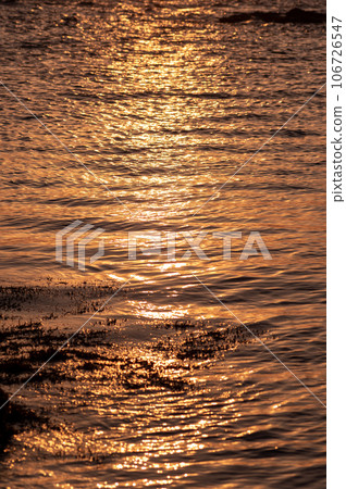 The sea of Jogashima sparkles in the evening light 106726547