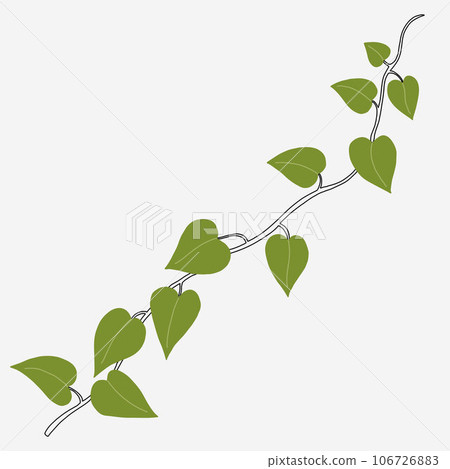 Floral ivy drawing decorative ornament flat design. Floral ivy drawing decorative ornament flat design. 106726883