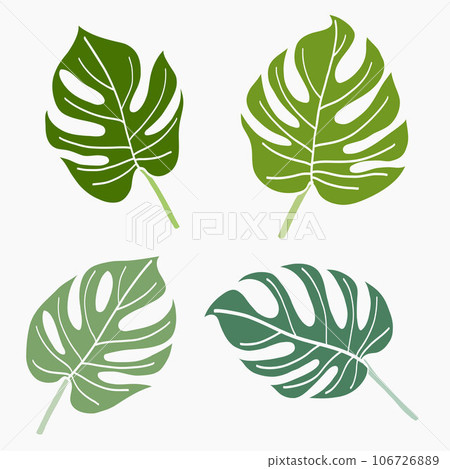 Simplicity monstera leaf freehand continuous line drawing flat design. Simplicity monstera leaf freehand continuous line drawing flat design. 106726889
