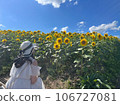 Summer flowers and woman in white hat 106727081