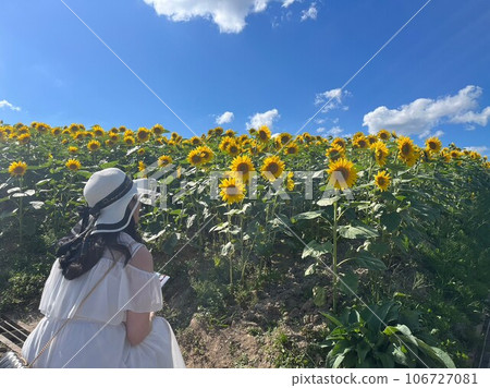 Summer flowers and woman in white hat 106727081