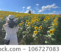 A woman watching the sunflower field 106727083