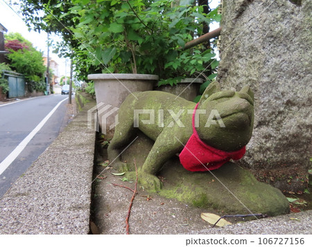 Fox at a moss-covered shrine Fox at a moss-covered shrine 106727156