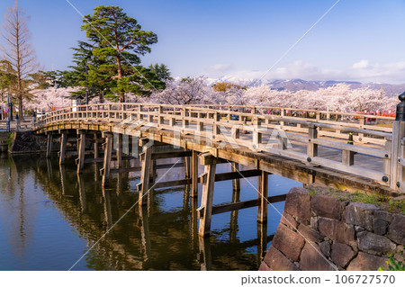 【新潟縣】櫻花盛開，春天的高田城跡公園 106727570