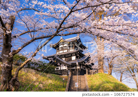 【新潟縣】櫻花盛開，春天的高田城跡公園 106727574