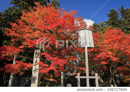 Autumn leaves at Konpon Chudo, East Tower of Enryakuji Temple, Mt. Hiei 106727694