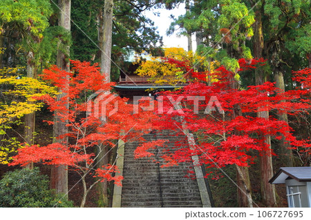 比叡山延歷寺東塔的秋葉 106727695