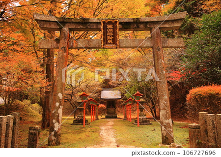 Autumn leaves at the west tower of Enryakuji Temple, Mt. Hiei 106727696