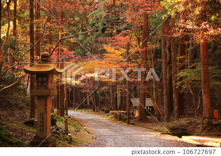 比叡山延歷寺橫川的紅葉 106727697