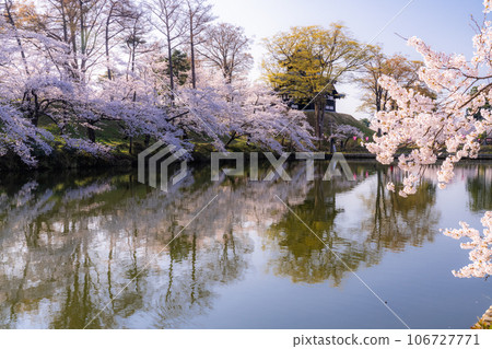 【新潟縣】櫻花盛開,春天的高田城跡公園 【新潟縣】櫻花盛開,春天的高田城跡公園 106727771