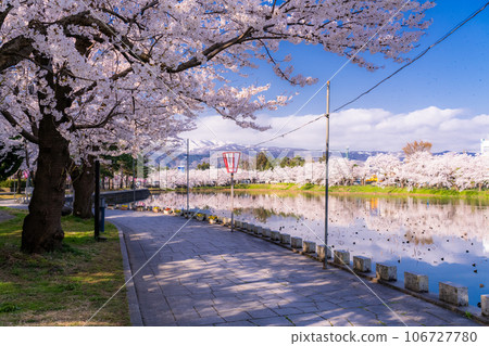 【新潟縣】櫻花盛開，春天的高田城跡公園 106727780
