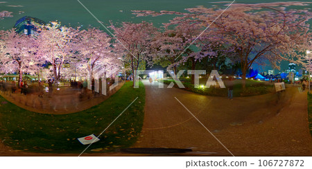 櫻花360度影像（360°VR素材） 106727872