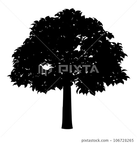Tree illustration_silhouette 106728265